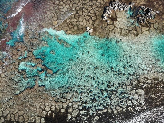 Turquoise Safaris - Underwater Pinnacles