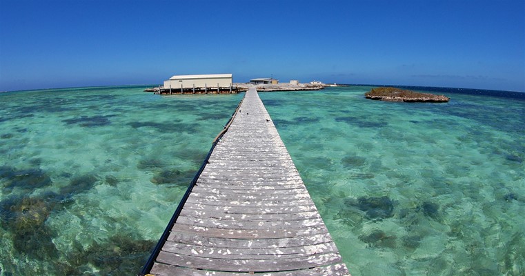 Eco Abrolhos Cruises - The iconic wharf at Coronation Island