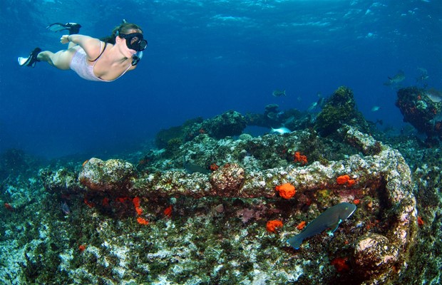 Eco Abrolhos Cruises - Batavia Shipwreck Snorkel - Eco